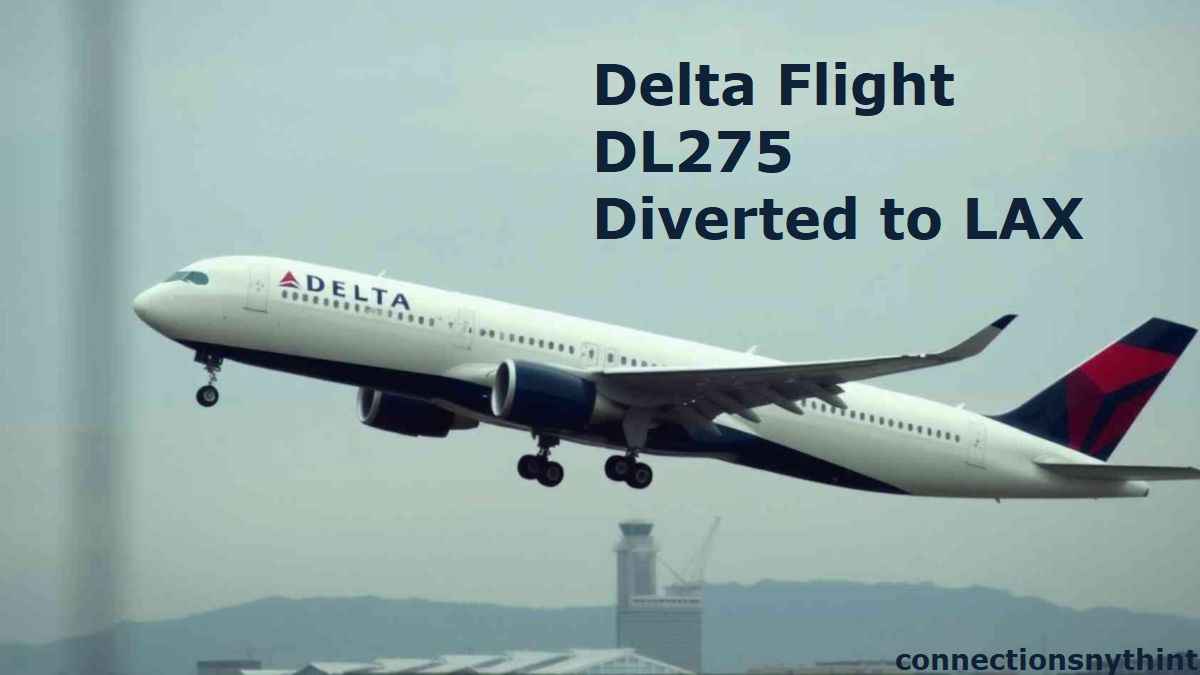 Delta Flight DL275 Diverted to LAX Completely Detail